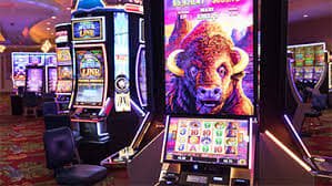 Boom77 bingo strategi tips bermain cerdas untuk pemain Indonesia